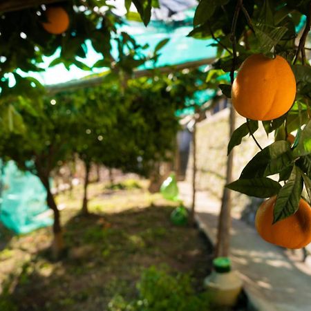 Casa Primula Villa Амалфи Екстериор снимка